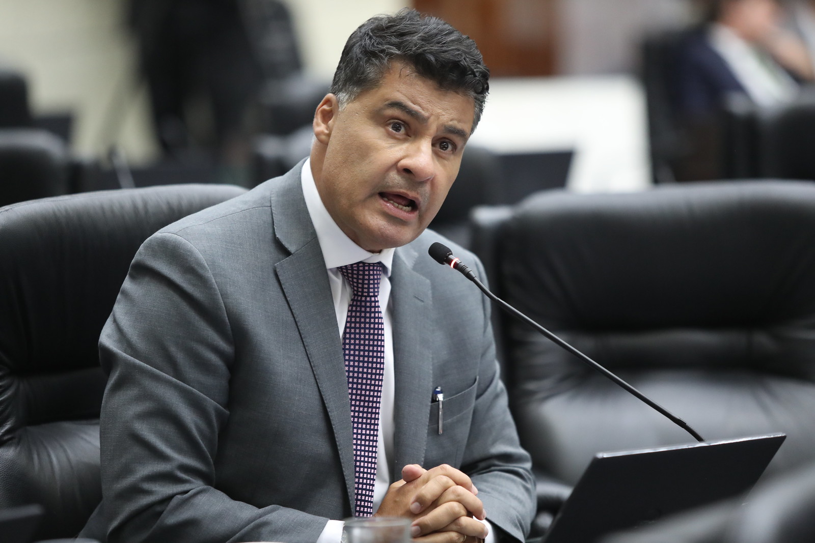 Rangel propõe incluir animais de estimação em medidas protetivas para casos de violência doméstica